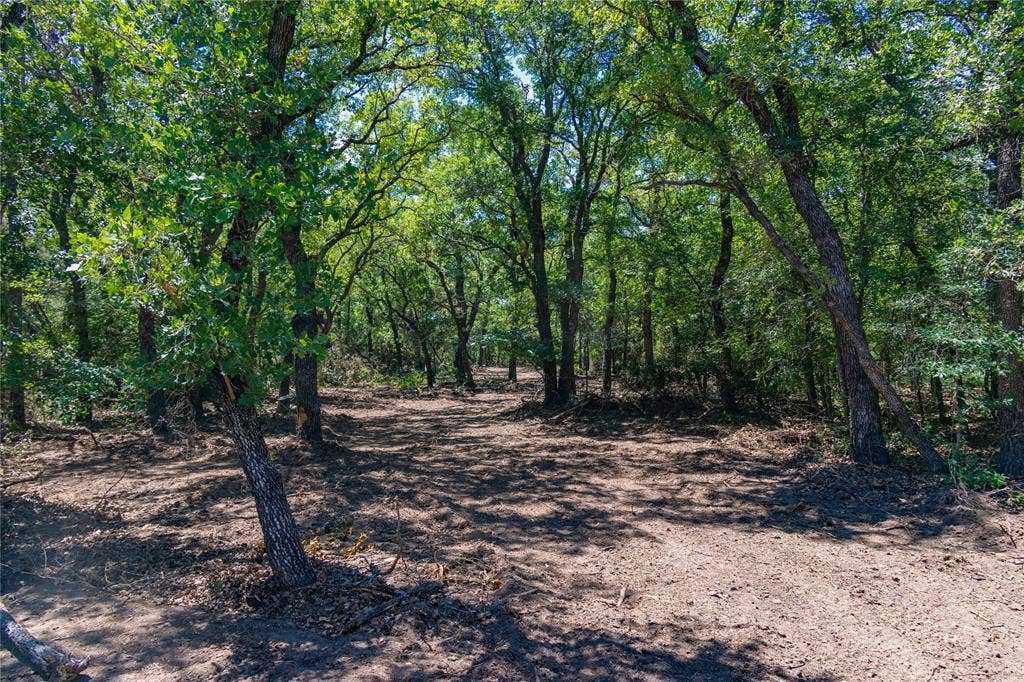 51.03 Acres Highway 16, De Leon, TX 76444