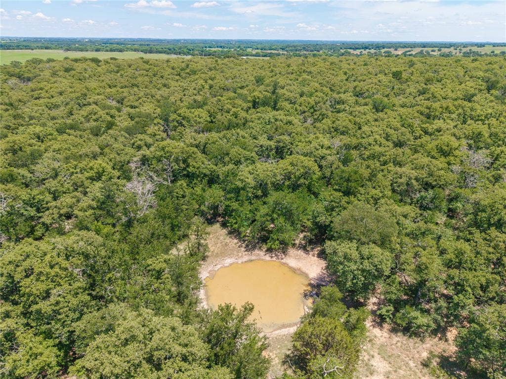 51.03 Acres Highway 16, De Leon, TX 76444