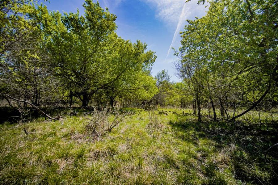 Property photo for 100 Acres FM 2950, Jermyn, TX