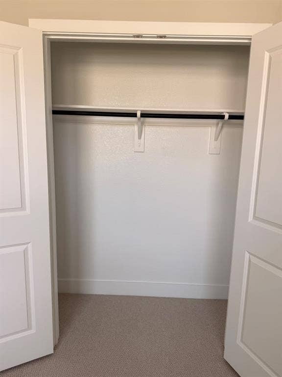 1313 Winters Way, Princeton, TX 75071 Closet featuring double-panel doors, neutral carpeting, and a built-in horizontal clothes rod with overhead shelving