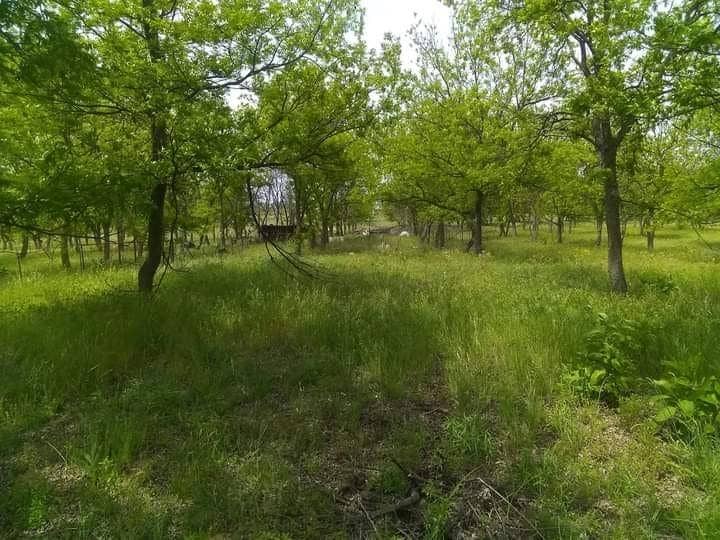 Property photo for 1209 County Road 416, Comanche, TX