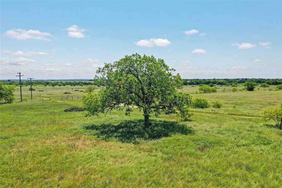 Property photo for 55.06 Acres 281 Highway, Jacksboro, TX
