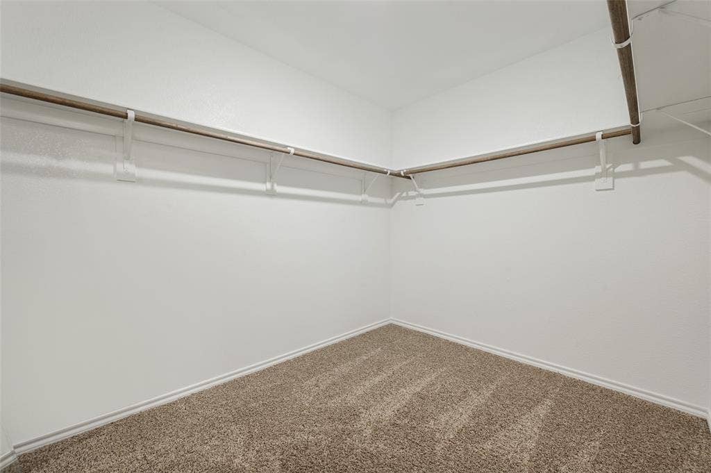 Walk-in storage space featuring neutral carpeting and wrap-around built-in shelving rods