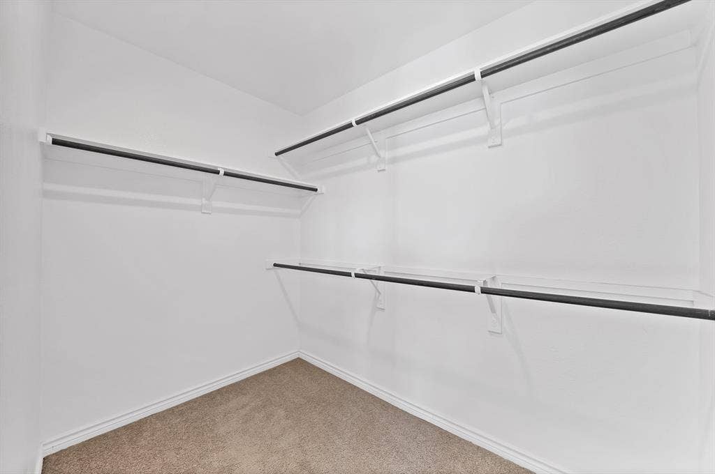 Walk-in closet featuring wall-to-wall carpeting and multi-tier metal shelving with integrated clothing rods