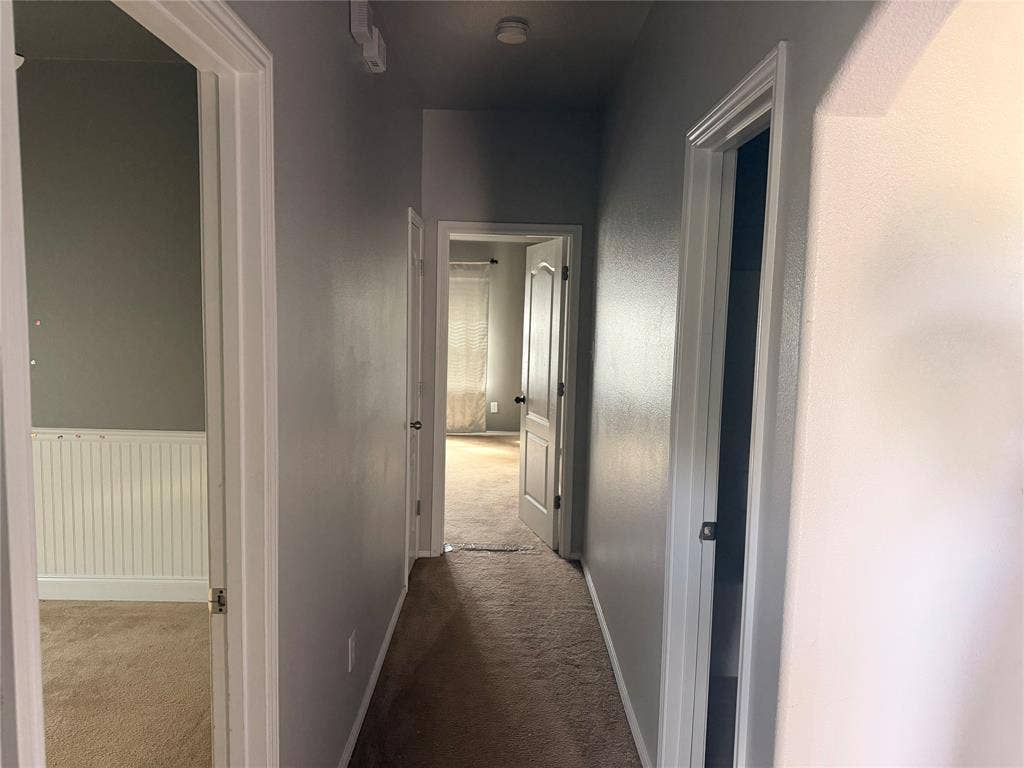 705 Bamboo Drive, Anna, TX 75409 Interior hallway featuring neutral-toned walls, carpeting, white paneled doors with hardware, and wainscoting detail