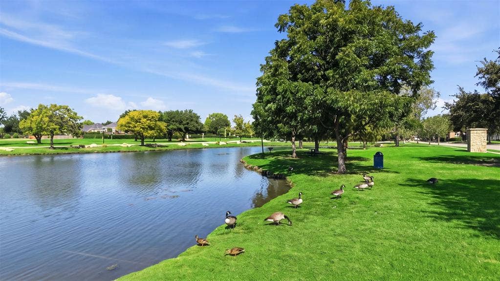 9006 Hogan Drive, Rowlett, TX 75089 9006 Hogan Drive, Rowlett, TX 75089