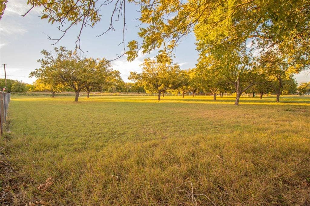 Expansive grounds featuring a level grass lawn, perimeter fencing, and mature trees
