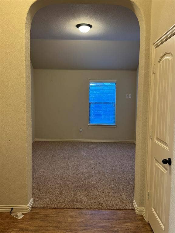 3953 Hollow Lake Road, Fort Worth, TX 76262 Arched entryway featuring neutral carpeting, a vaulted ceiling, a flush-mount light fixture, and a single-panel interior door