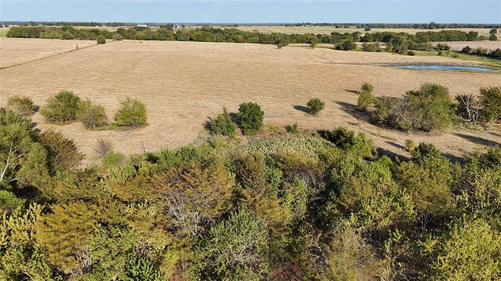 Expansive acreage featuring mature trees, open pastureland, and a natural pond