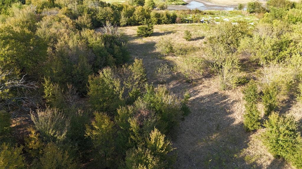 Expansive acreage featuring mature trees, natural vegetation, and water frontage