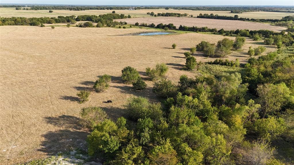 Expansive acreage featuring rolling open fields, clusters of mature trees, and a natural pond