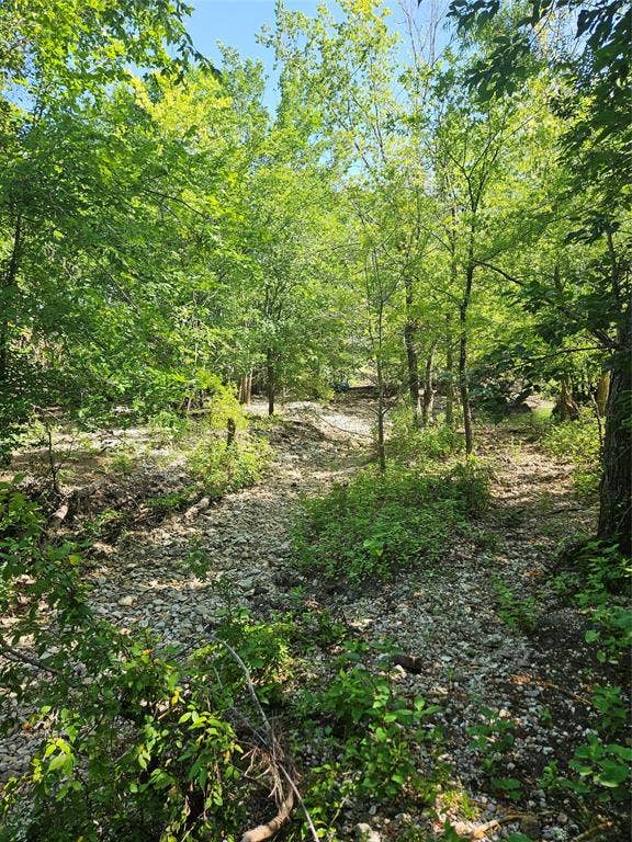 Wooded grounds featuring mature trees and a natural rock-lined surface