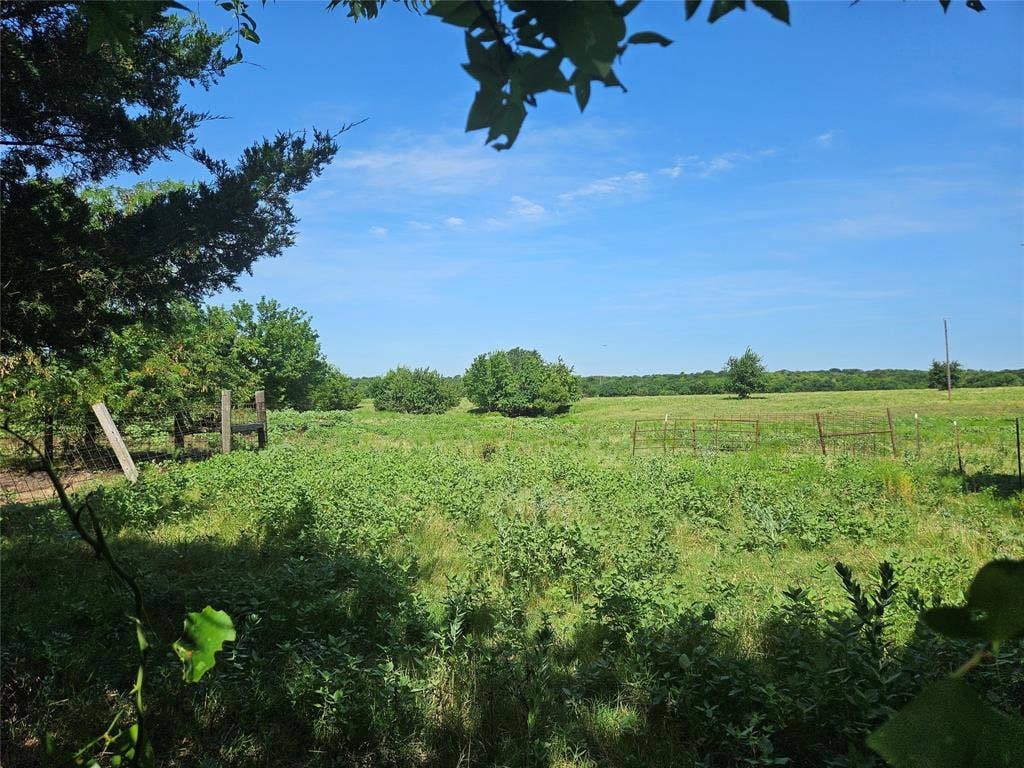 Expansive open acreage featuring native grasses, mature trees, and wire perimeter fencing