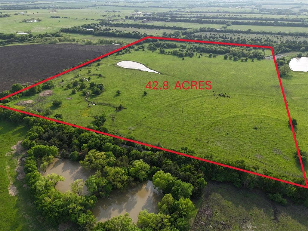 42.8 acres of open pastureland featuring mature tree clusters, natural drainage basins, and multiple ponds