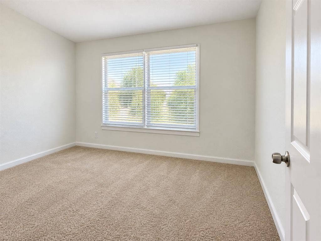 Neutral-toned carpeted flooring, white wall finishes, dual-pane window with horizontal blinds, and a traditional six-panel interior door with a metal knob