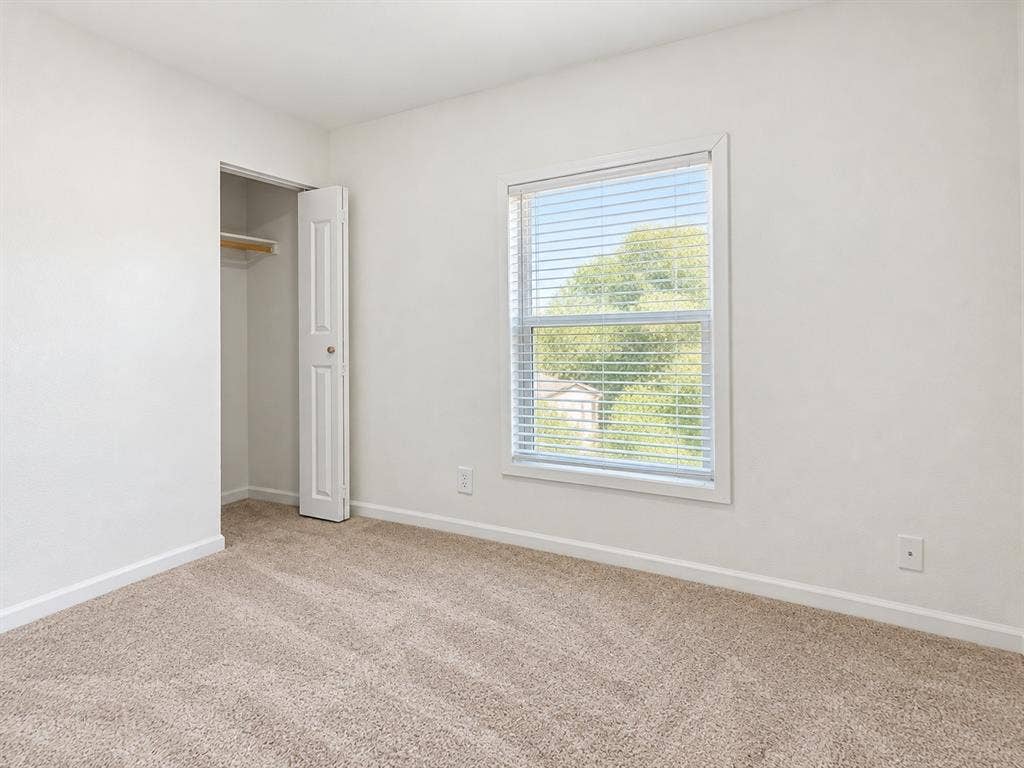 Neutral-toned carpeting, crisp wall finishes, single-hung window with fitted blinds, and a built-in closet featuring a hinged door