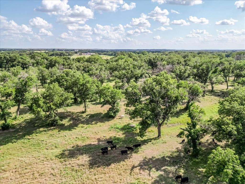 1251 County Road 360, Gustine, TX 76455 1251 County Road 360, Gustine, TX 76455