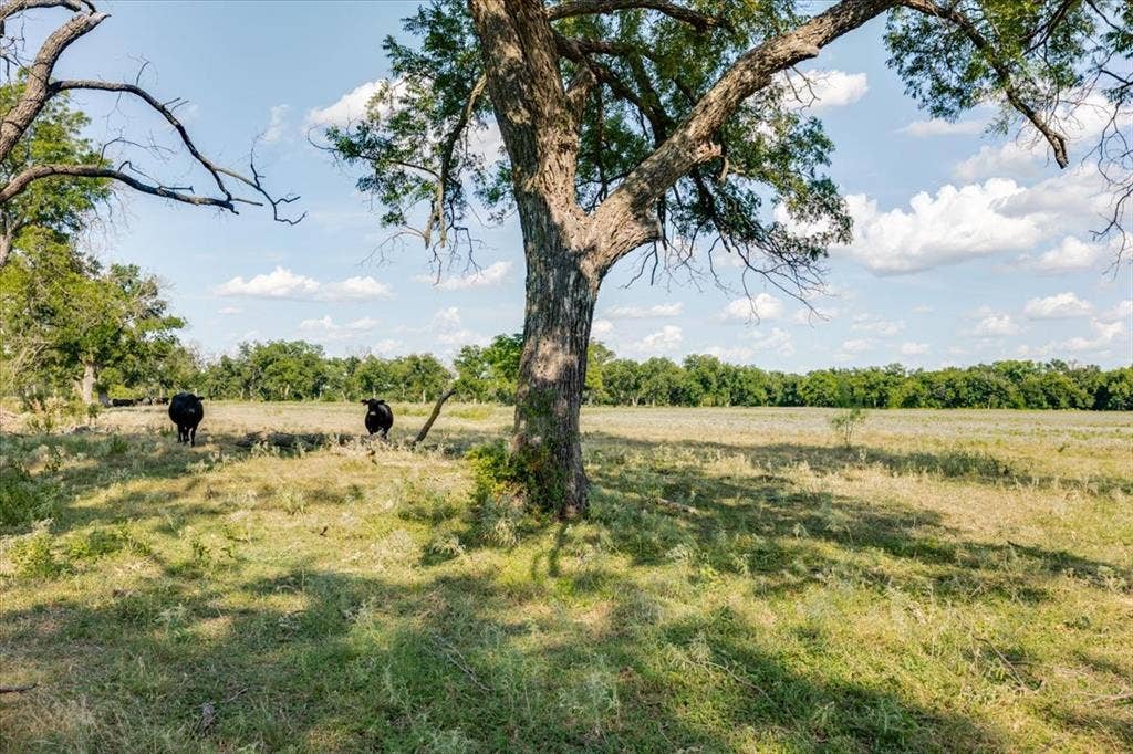 1251 County Road 360, Gustine, TX 76455 1251 County Road 360, Gustine, TX 76455