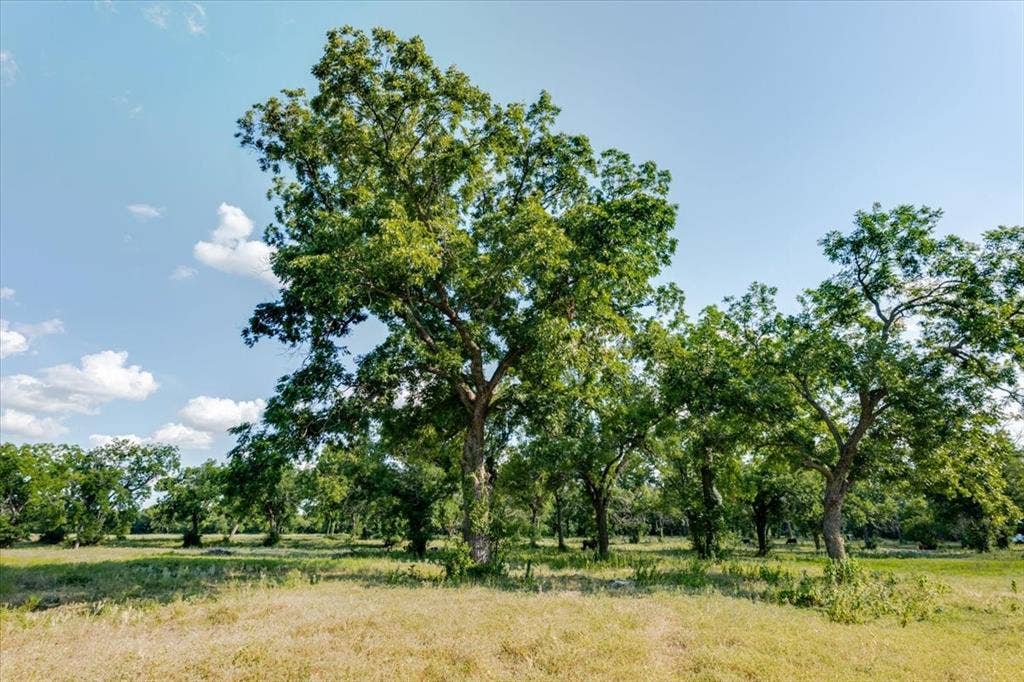1251 County Road 360, Gustine, TX 76455 1251 County Road 360, Gustine, TX 76455