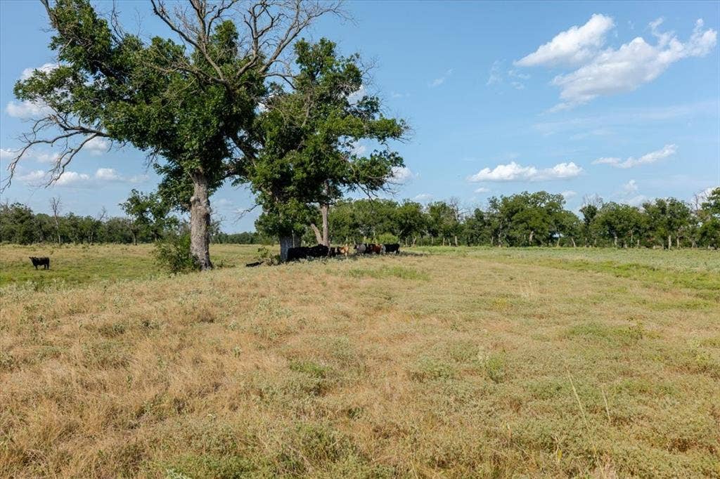 1251 County Road 360, Gustine, TX 76455 1251 County Road 360, Gustine, TX 76455