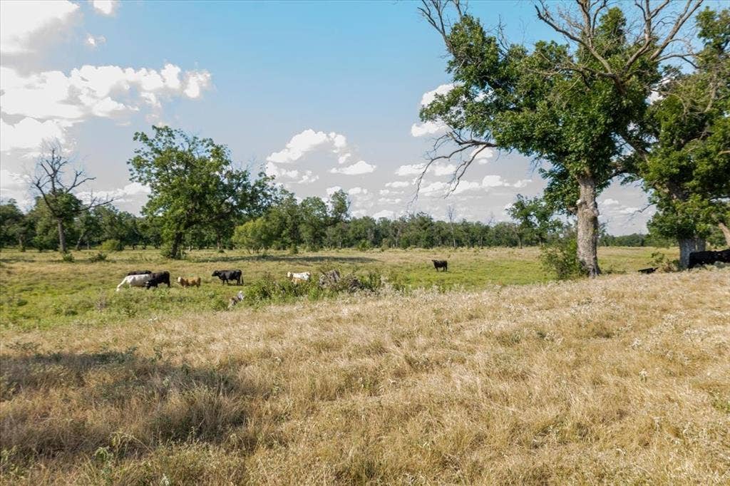 1251 County Road 360, Gustine, TX 76455 1251 County Road 360, Gustine, TX 76455