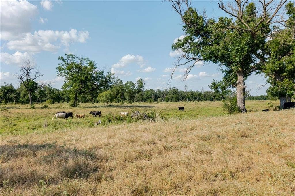 1251 County Road 360, Gustine, TX 76455 1251 County Road 360, Gustine, TX 76455