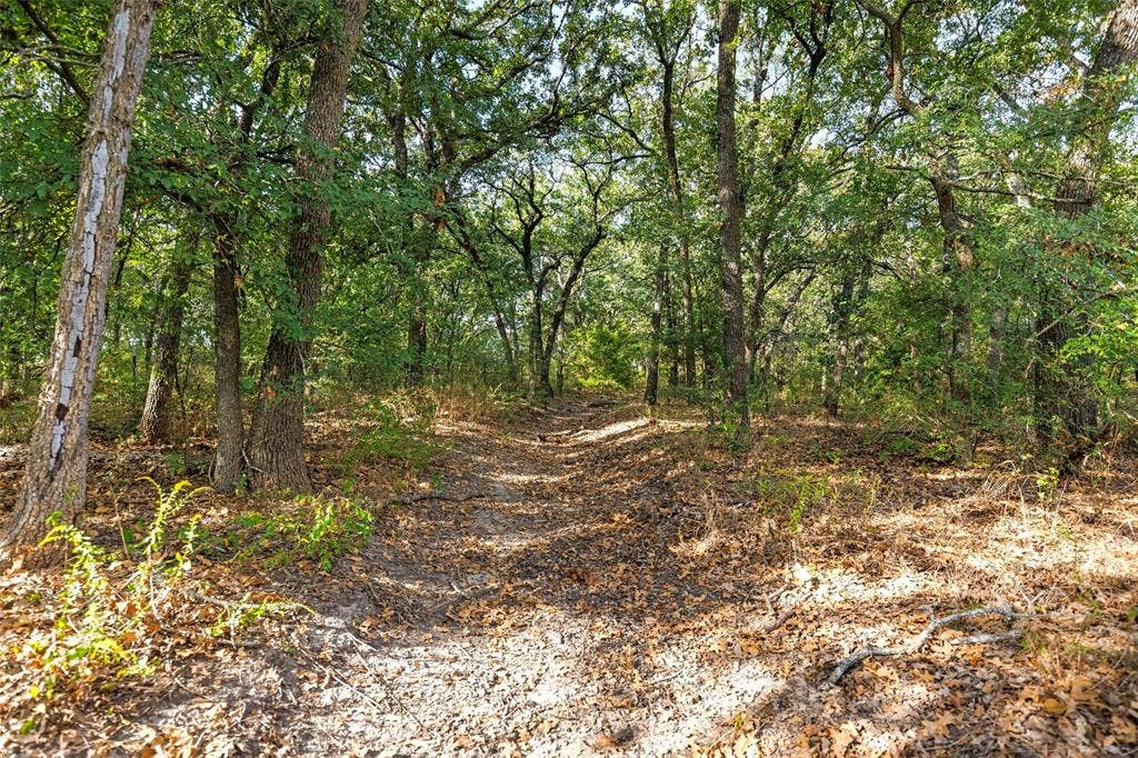 982 Lcr 131, Mount Calm, TX 76673
