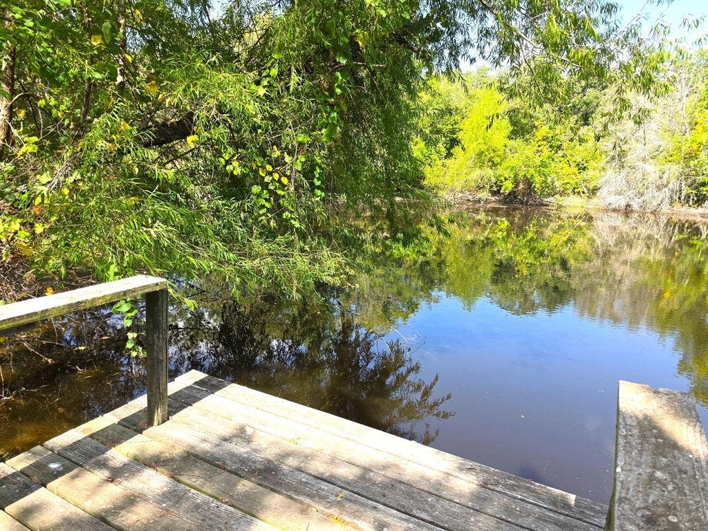 982 Lcr 131, Mount Calm, TX 76673