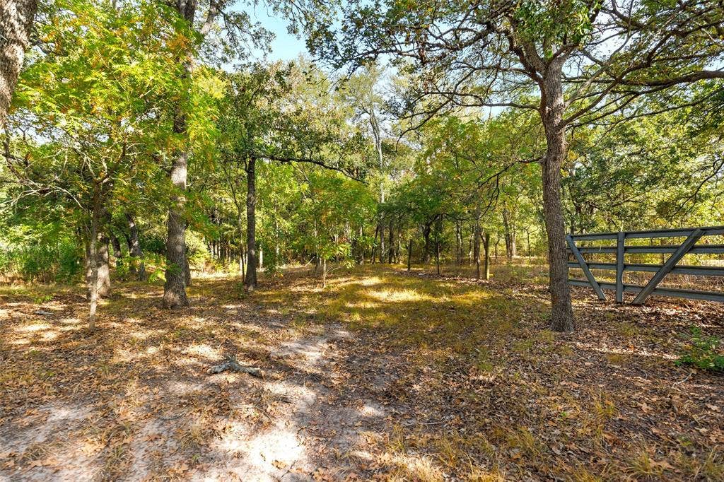 982 Lcr 131, Mount Calm, TX 76673
