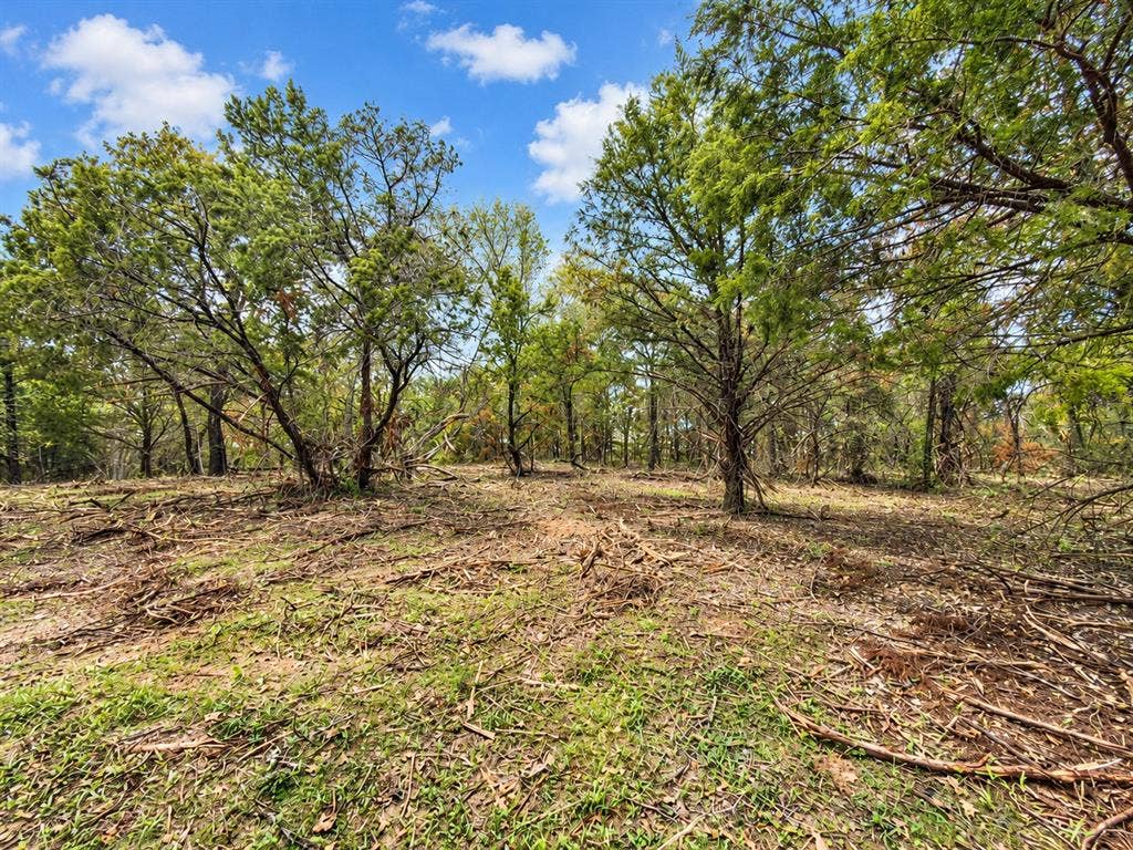 Natural acreage featuring mature native trees, clear ground terrain, and open space