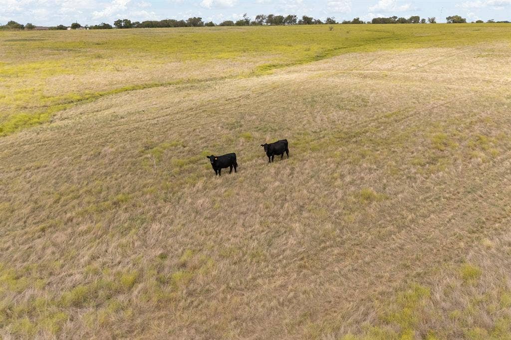 9301 Cr-1127, Godley, TX 76044 9301 Cr-1127, Godley, TX 76044