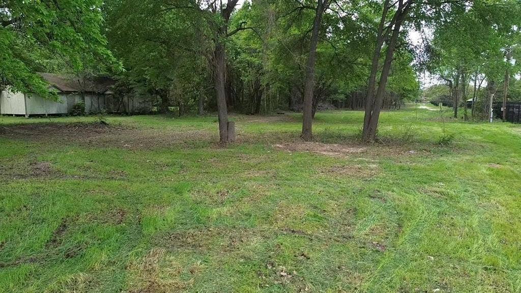 3110 W Gentry Parkway, Tyler, TX 75702 Expansive lot featuring mature trees, natural grass terrain, and a structural outbuilding