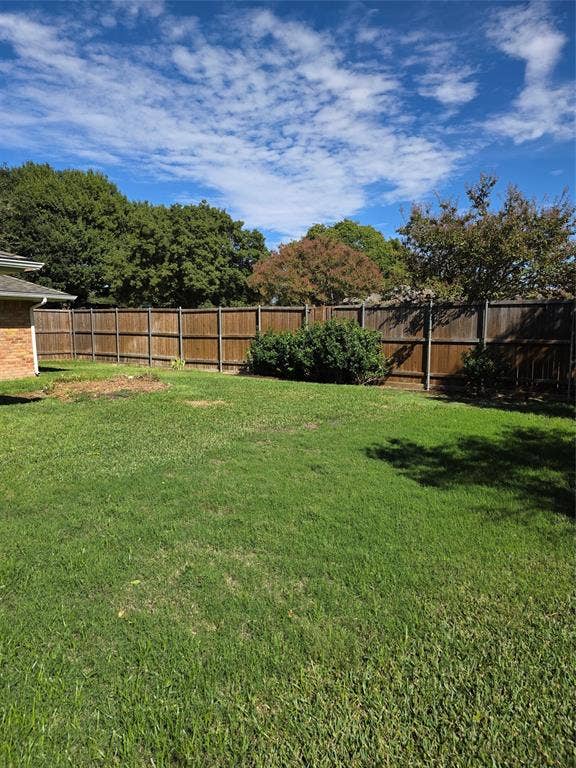 Large back yard