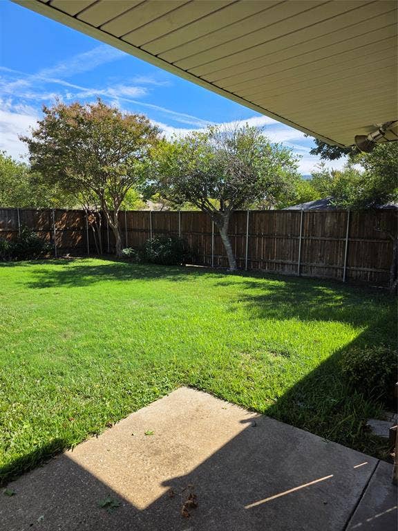 Large back yard