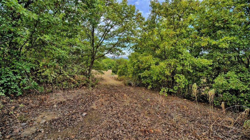 TBD Starkey Road, Saint Jo, TX 76265