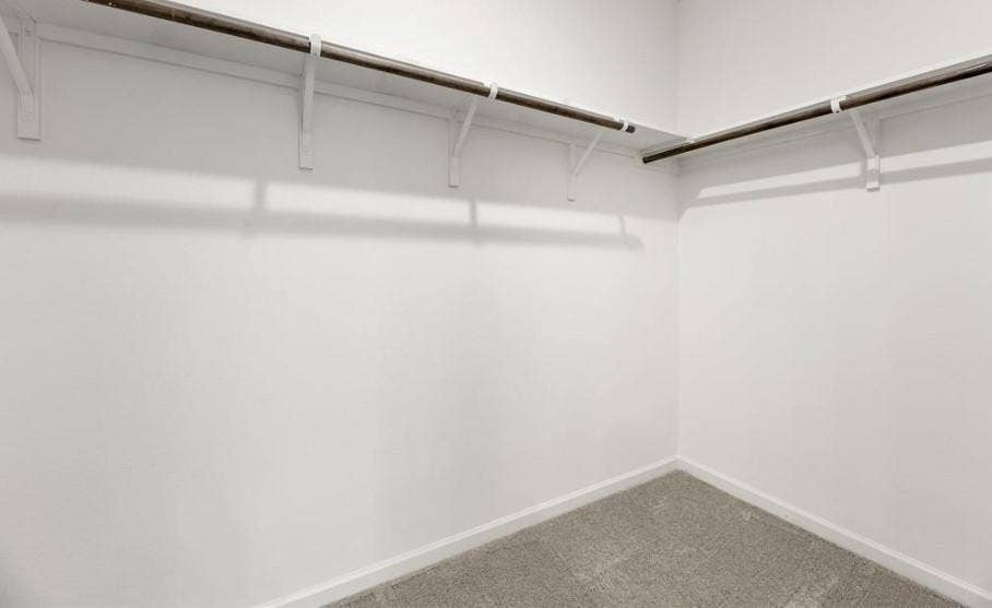 Walk-in closet featuring neutral carpeting and built-in shelving with integrated clothing rods