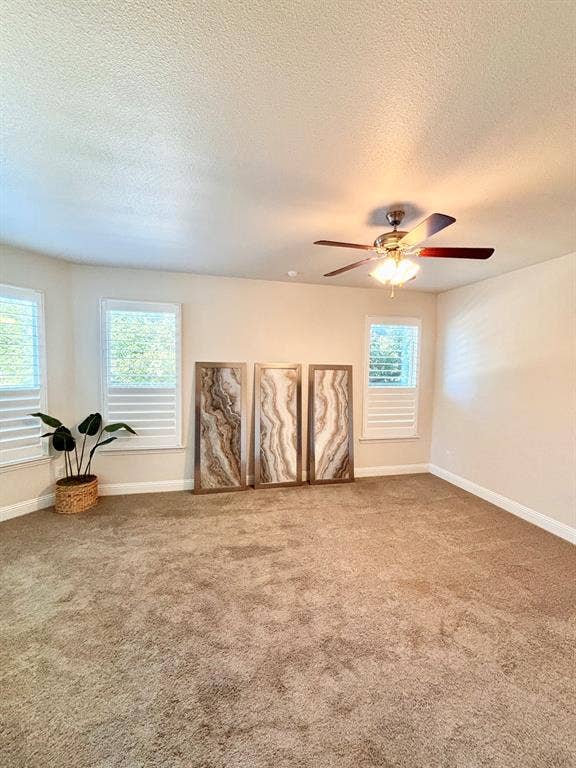 Entire house regularly professionally cleaned, like new!