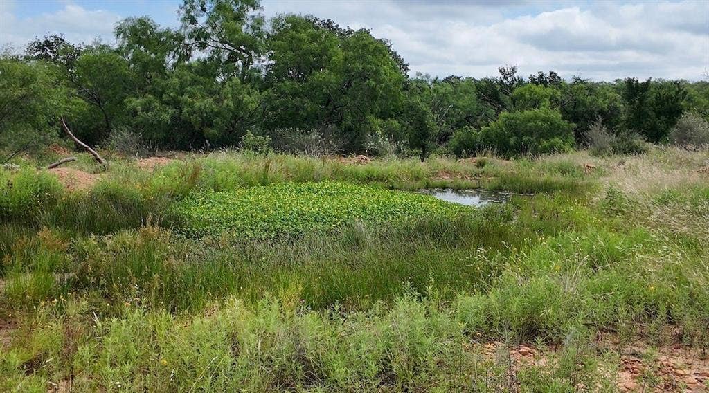 5181 CR 202, San Saba, TX 76877