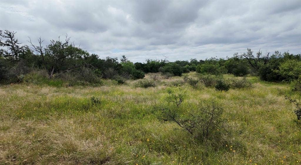 5181 CR 202, San Saba, TX 76877