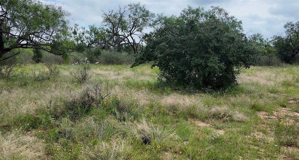 5181 CR 202, San Saba, TX 76877