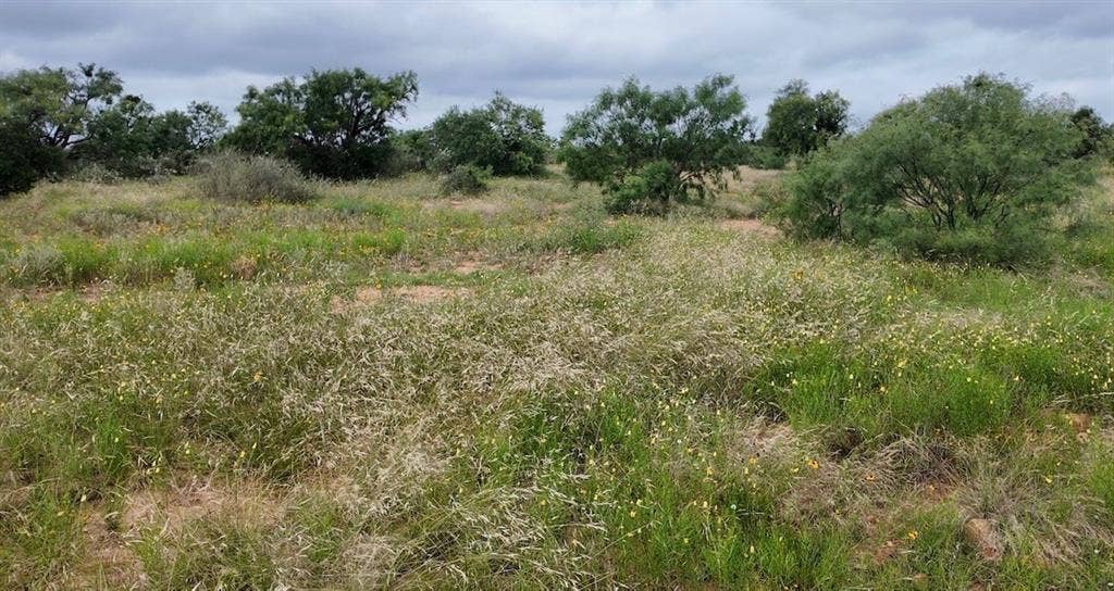 5181 CR 202, San Saba, TX 76877