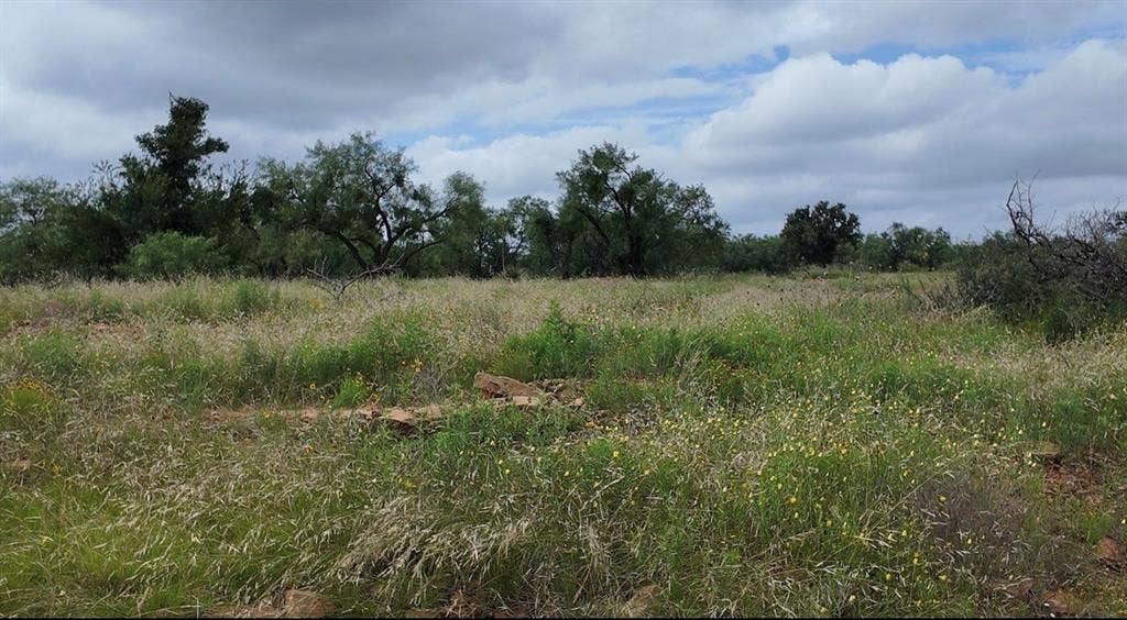 5181 CR 202, San Saba, TX 76877