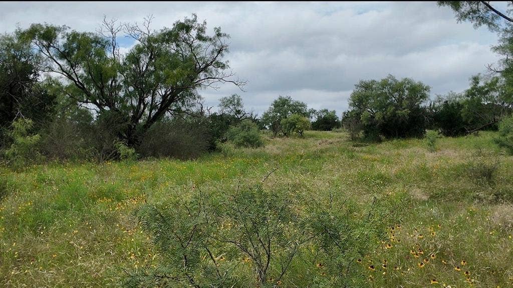 5181 CR 202, San Saba, TX 76877