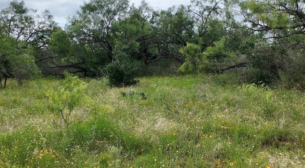 5181 CR 202, San Saba, TX 76877
