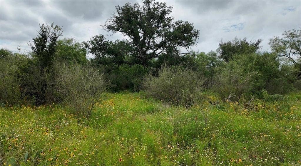 5181 CR 202, San Saba, TX 76877