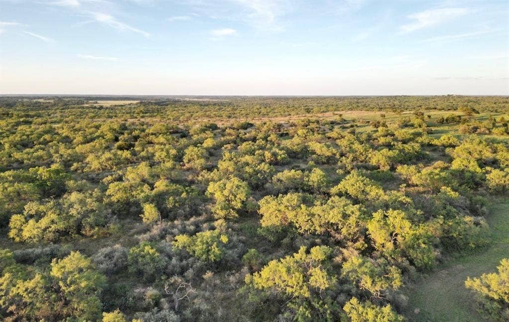 599 CR 241, Rochelle, TX 76872