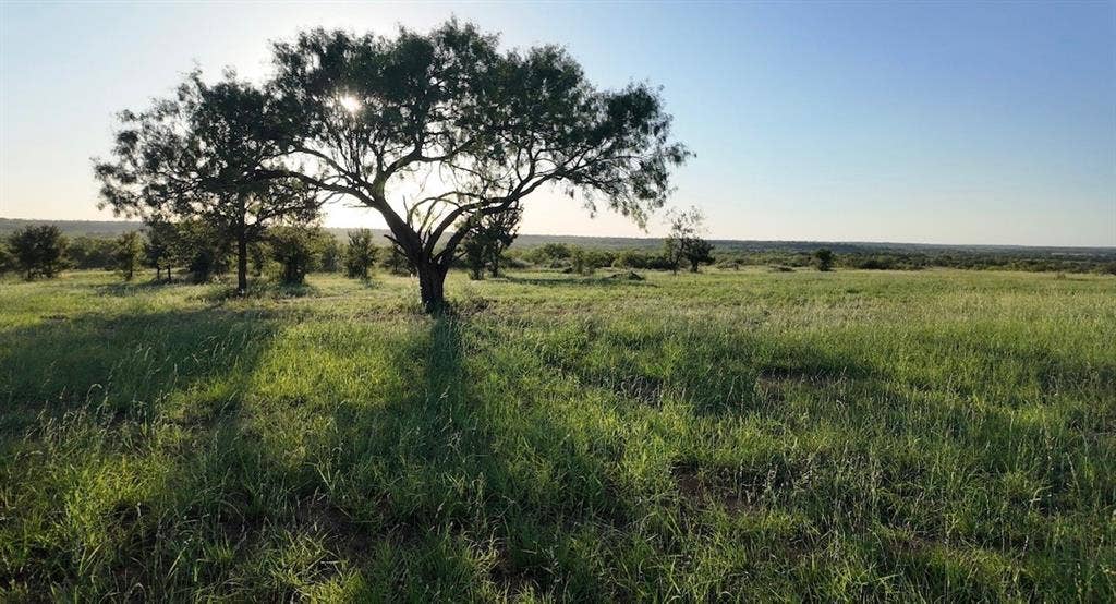 599 CR 241, Rochelle, TX 76872