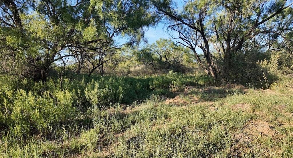 599 CR 241, Rochelle, TX 76872