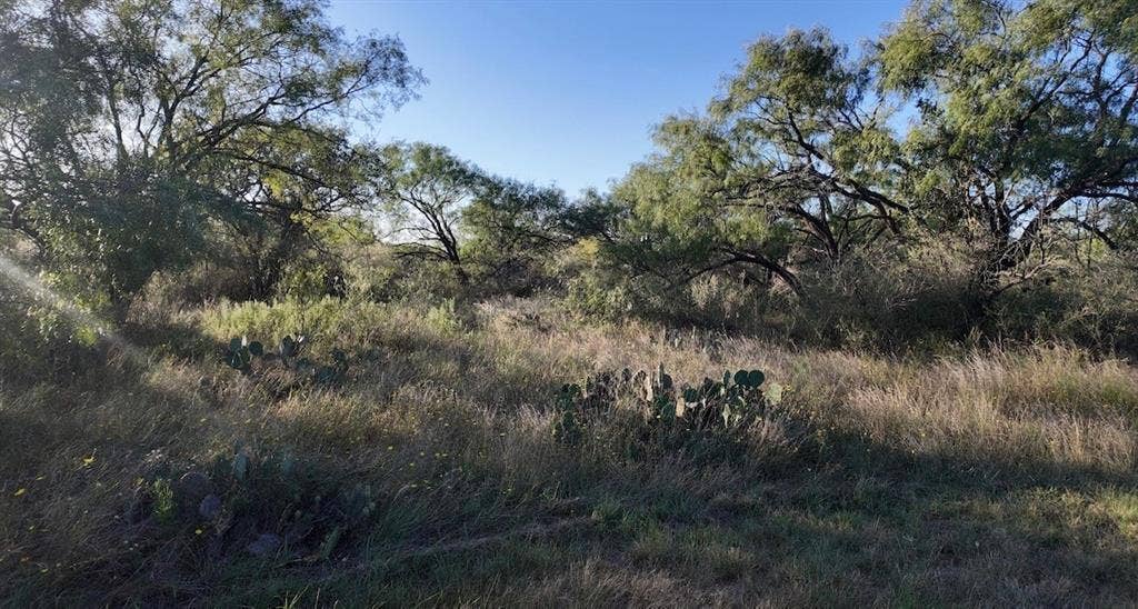 599 CR 241, Rochelle, TX 76872