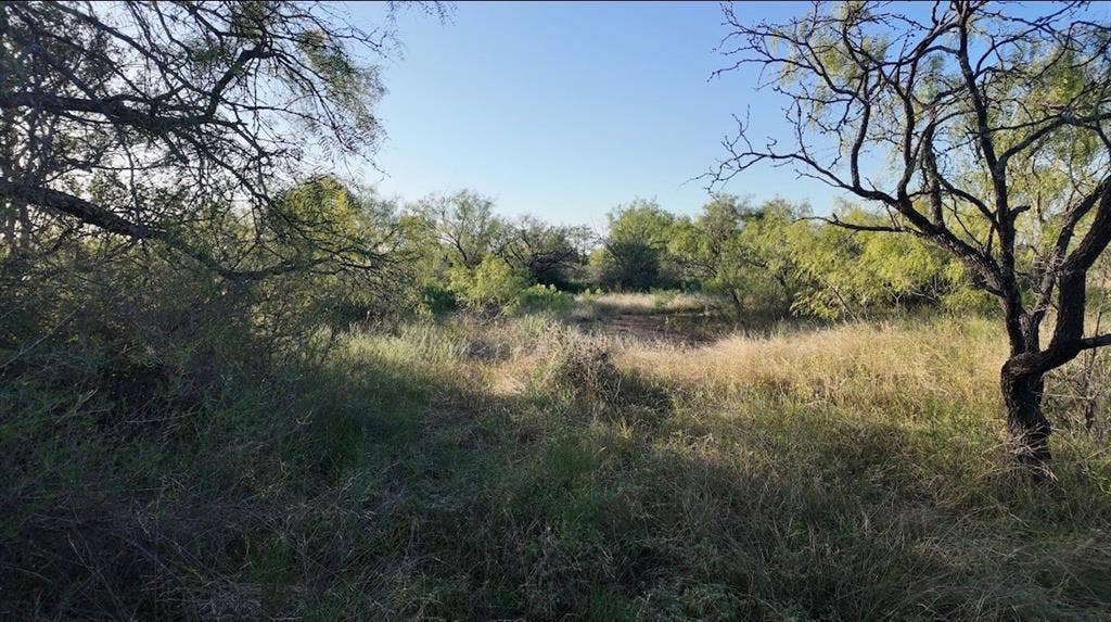 599 CR 241, Rochelle, TX 76872